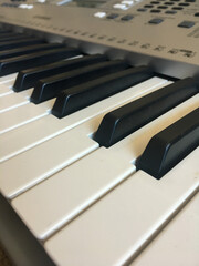 piano keys close up black and white
