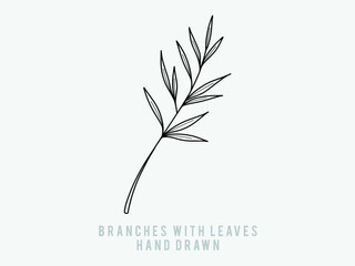 hand-drawn floral elements, plants and flowers. Isolated branches on a white background. Sketchy elements of design. Vector illustrations.