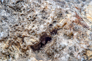 Stone surface texture at high magnification with numerous microscopic formations of natural quartz crystals in cracks