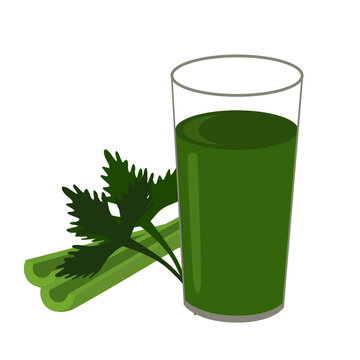 Glass of fresh green celery smoothie juice isolated on white. Vector illustration.