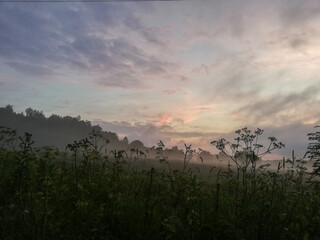 Obraz na płótnie Canvas Fog at sunset 