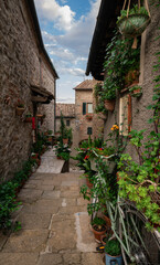 Naklejka premium Picturesque alley in the medieval town of Chiusdino, in Tuscany, Italy, on an early summer day