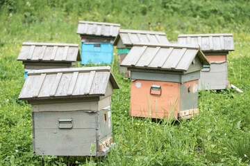 Wooden houses for breeding bees in apiary in mountains.