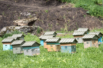 Wooden houses for breeding bees in apiary in mountains.