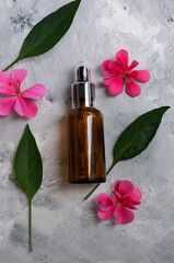 Geranium oil, pink flowers, Bottle with glass dropper. Copy space for text. Natural care. Alternative medecine.