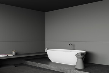 Fototapeta na wymiar Grey bathroom corner with tub and shelf