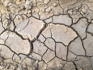 Cracked Ground. Aridity. Soil in dry season, hot summer. Drought of earth, background, patterns, texture. Top view. Close-up. Selective focus.
