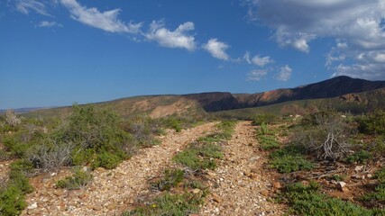 Country Dirt Track in the Little Karoo