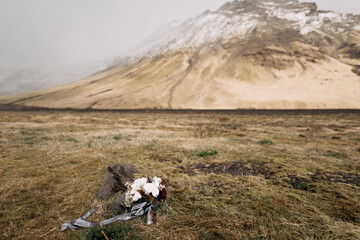 bridal bouquet of white roses, lily, burgundy cloves, protea, dried branches, brunia and leucadendron with grey and black ribbons on the dried grass on the background of the hill in Iceland