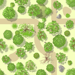 Seamless pattern. Forest top view. Various trees and plants. View from above.