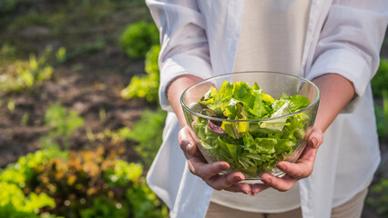 A woman holds a bowl of lettuce over the vegetable garden where it grows