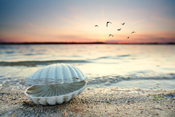 romantischer Strandblick mit Muscheln im Sand