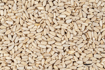 sunflower seeds background