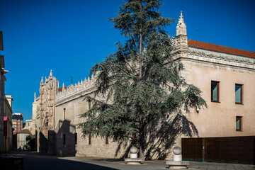 Fototapeta na wymiar Valladolid ciudad historica y monumental de la vieja Europa 
