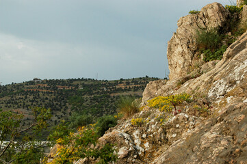 rocky mountain landscape