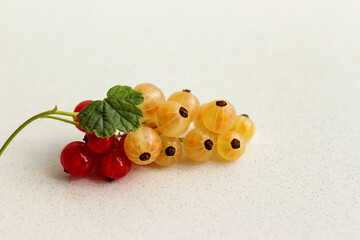 Close-up photo of single red and white ripe juicy currant fruit background. Summer harvest, healthy vitamins
