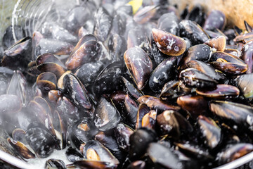 close up photo of grilled mussels