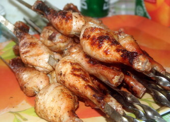 Charcoal-fried chicken shins strung on skewers closeup