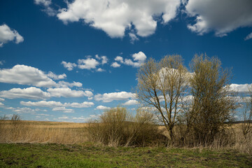 Obraz premium beautiful photo of blue sky with clouds and field in Ukraine