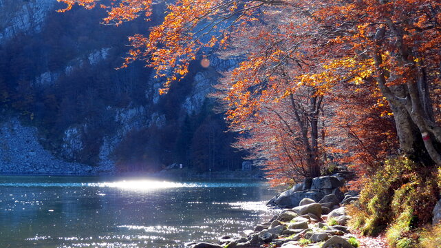 Reflections Of Sun On The Holy Lake Of Parma