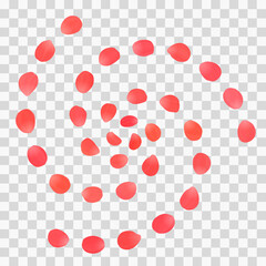 Red petals in spiral shape on transparent background. Vector 