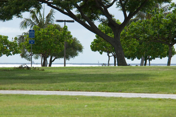 Obraz premium The beautiful sea of Oahu island