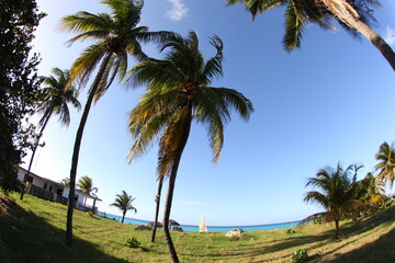 Obraz premium Cayo largo 