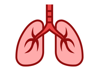 Lungs - line icon. Simple outline design. Vector illustration.