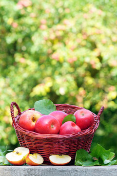 Apple harvest with apples and basket, vertical