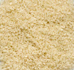 Rice groats close-up - top view