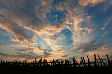 good sunset and beautiful cloudy sky