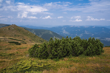 beautiful picturesque photo of the Ukrainian mountains of the Carpathians