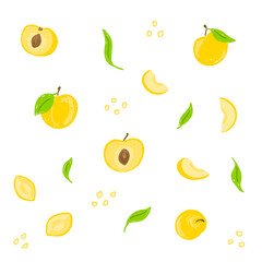 Yellow plum vector illustration set. Mirabelles plum hand drawn collection, design template. Whole yellow plum, half with drupe, leaves, section