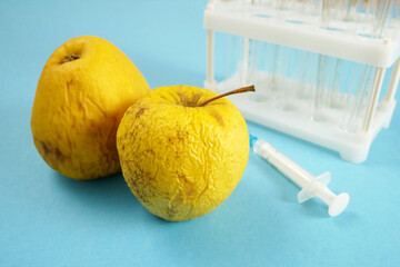 apple in genetic engineering laboratory with syringe and test tubes on blue background, gmo food...