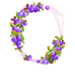 A geometric frame with ripe irgi berries on a white background is isolated. Graphic element. Watercolor illustration