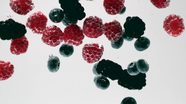 Raspberry, blueberry and mulberry falling into transparent water on white background. Mix of sweet fresh berries and fruits splashing in aquarium, underwater. Healthy organic food, air bubbles. Slow