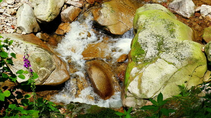 natürliches Detail der Allerheiligen Wasserfälle mit Steinen im Schwarzwald