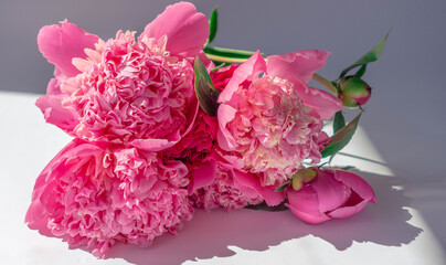 Flower composition. Close-up bouquet of delicate pink peonies lies on a white surface. Spring or summer floral background. Photo for flower shops, greeting cards. Mother's day concept. Soft focus.