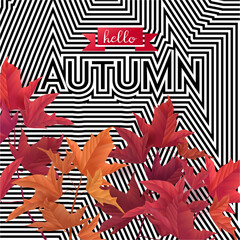 Hello autumn vector design template. Fall background