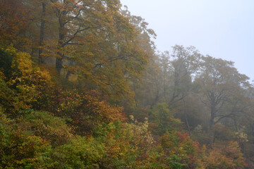 Fototapeta premium 雨雲に覆われる山地の秋