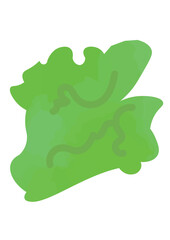 アオサのイラスト