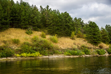 landscape of pine forest on Dniester river, National Nature Park Podilski tovtry, Khmelnytsky region of Western Ukraine