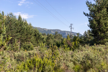 Popovi Livadi Area, Pirin Mountain, Bulgaria