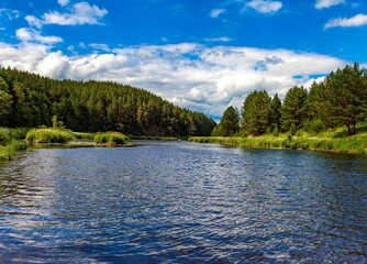 Fototapeta premium River in the forest in summer against the blue sky and white clouds