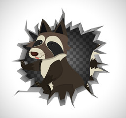 Cute raccoon coming out of cracked wall