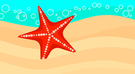 Fototapeta na wymiar Starfish on a sandy sea beach.