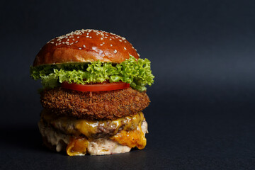 Delicious fresh homemade hamburger with fresh vegetables and sauce. on black background, copy space for text