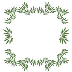Wreath of bamboo leaves on a light background, frame vector