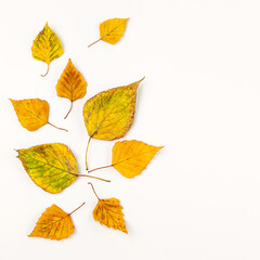 Fototapeta na wymiar Autumn composition with autumn dried leaves on white background. Flat lay, copy space.