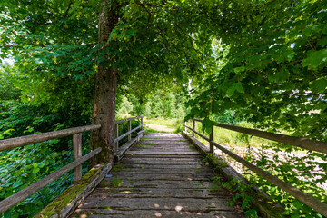 Alte verwitterte Holzbr&uuml;cke zur Burgruine Prandegg im M&uuml;hlviertel Ober&ouml;sterreich